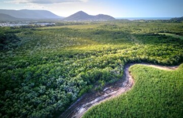 Cairns: Waterfall, Reef & Rainforest Trail - Day 1