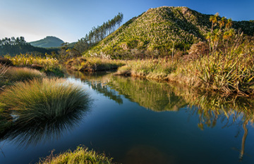 Ultimate North Island Tour - Day 9