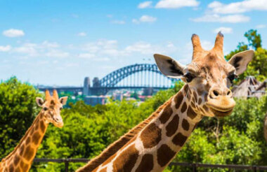 Explore New Zealand with these great holiday ideas