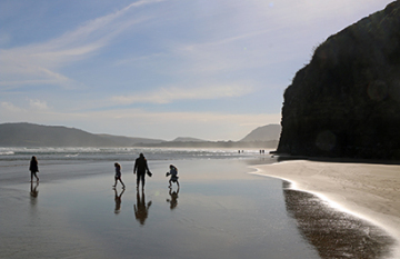 Kiwi South Island Tour - Day 5