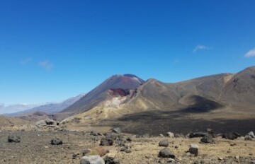 Ultimate North Island Tour - Day 18