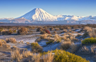 Premium Half Day Tongariro Alpine Tour with Adrift