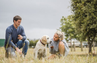 NZ self drive itineraries and package holidays