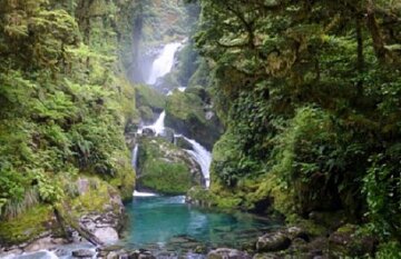 Southern Highlights and Milford Track Great Walk - Day 7