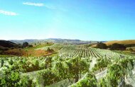Waipara Valley Wine Trail with Leisure Tours - Lunch Included