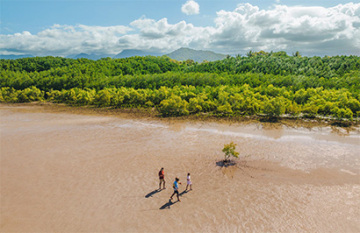 Tropical Reef and Rainforest Tour - Day 6
