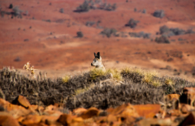 NZ self drive itineraries and package holidays