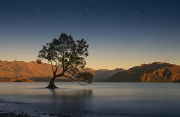Glaciers and Overnight Fiordland Tour - Day 4