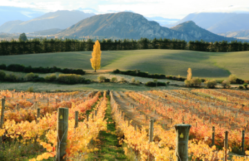 South Island Luxury Wine Adventure - Day 3
