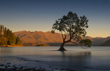 Essential New Zealand - Day 22