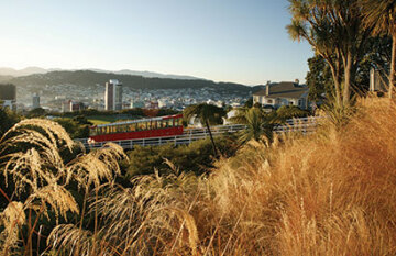 South Island Discoverer Wellington to Christchurch - Day 1
