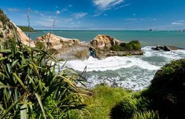 South Island Encounter - Day 19