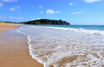 North Island Discovery Tour - Day 3