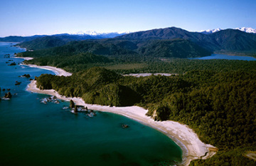 Routeburn Great Walk & South Island Wonders - Day 6