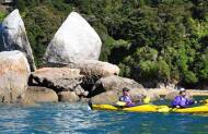 Beaches, Bays and Seals Guided Sea Kayaking Trip with Wilsons - Lunch Included