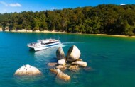 Cruise to Golden Bay Day Tour with Wine, Art & Wilderness - Lunch Included