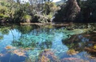 Golden Bay in a Day Tour with Wine, Art & Wilderness - Lunch Included