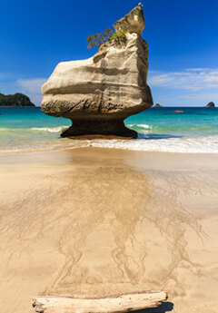 Image of Cathedral Cove and ocean in the back, Coromandel