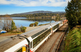 TranzAlpine Train coming through Moana