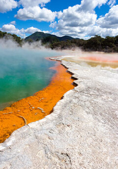 Visit the beautiful Champagne Pool in Rotorua
